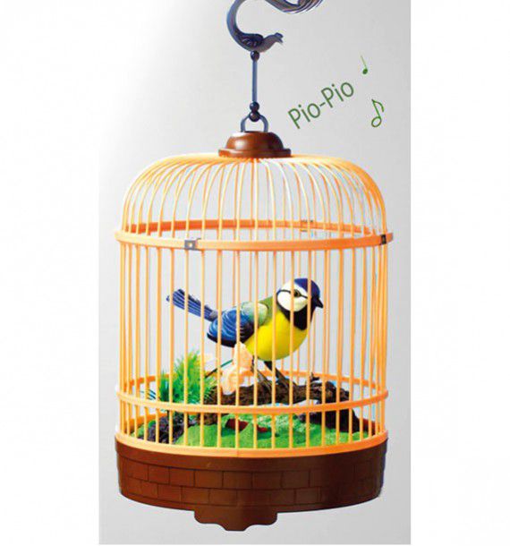 Oiseau Siffleur En Cage Plante En Ligne