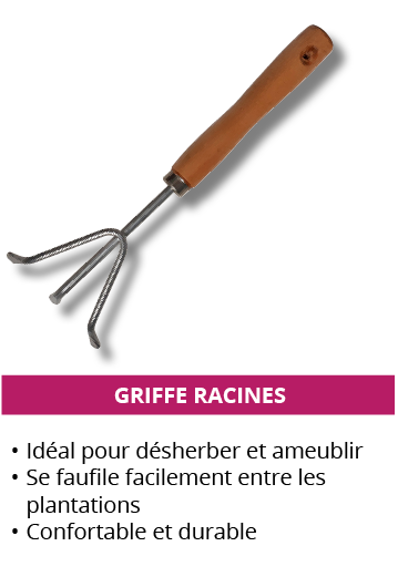 griffe-racines.png