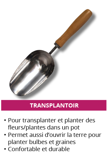 transplantoir_1.png
